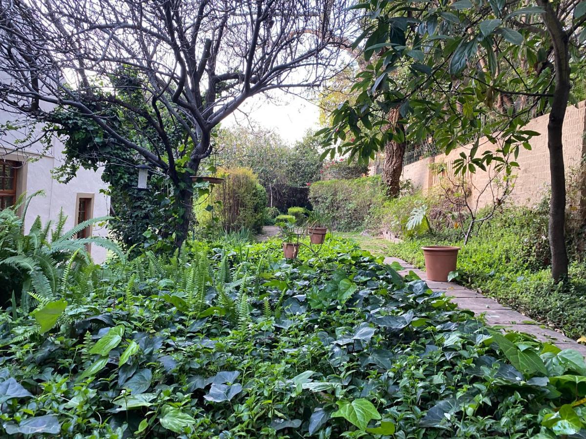جوهانسبورغ Tuscan Rose المظهر الخارجي الصورة