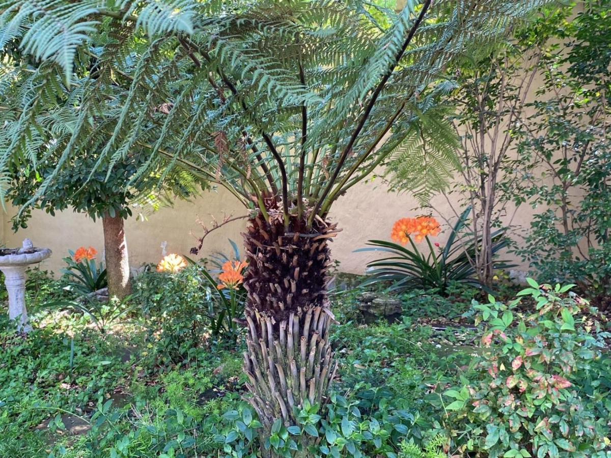 جوهانسبورغ Tuscan Rose المظهر الخارجي الصورة